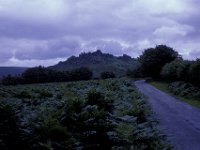 Haytor Dartmoor